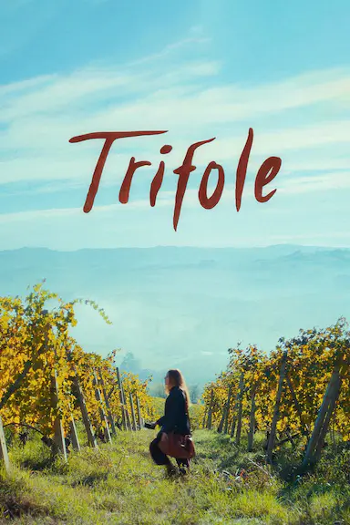 三叶草