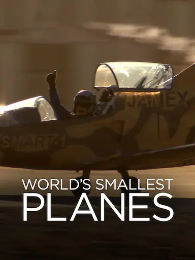 World's Smallest Planes